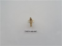 藏品(尺蠖蛾科)的圖片